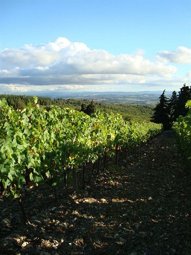 Agriturismo Il Villino Fonterutoli エクステリア 写真